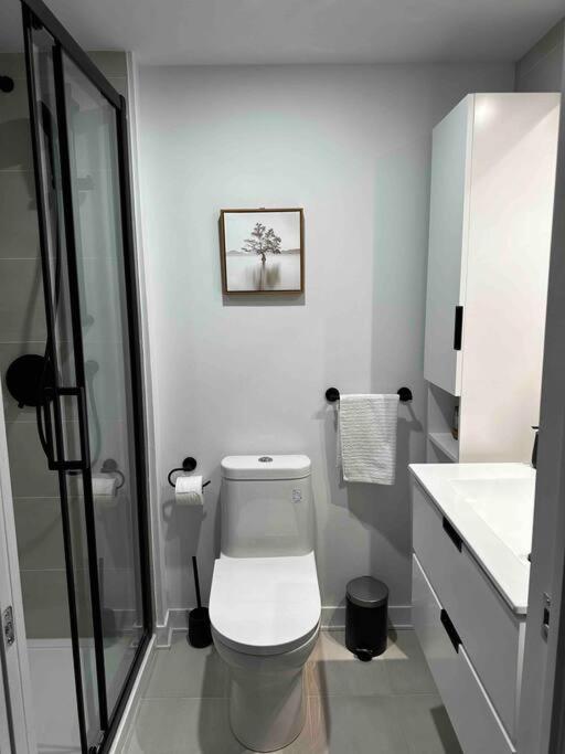 Bel Au Centre-ville Apartamento